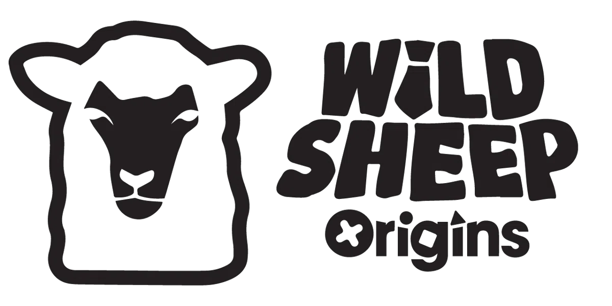 Wild Sheep Origins